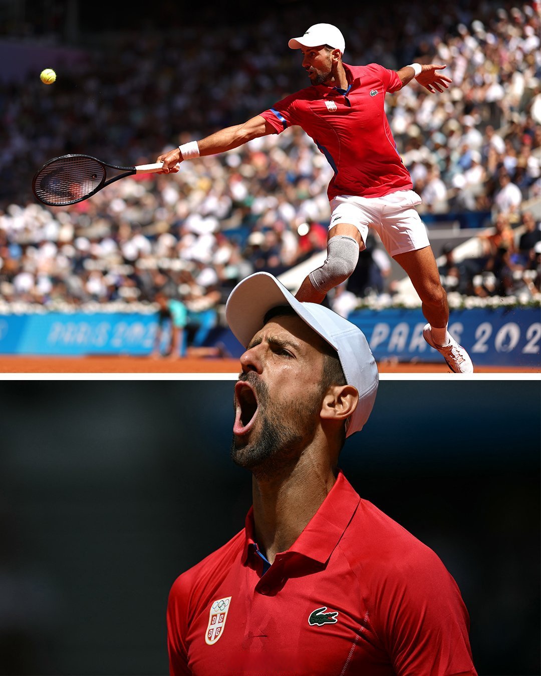 包含戴维斯杯险胜年终总决赛，阿尔卡拉斯高光表现的词条