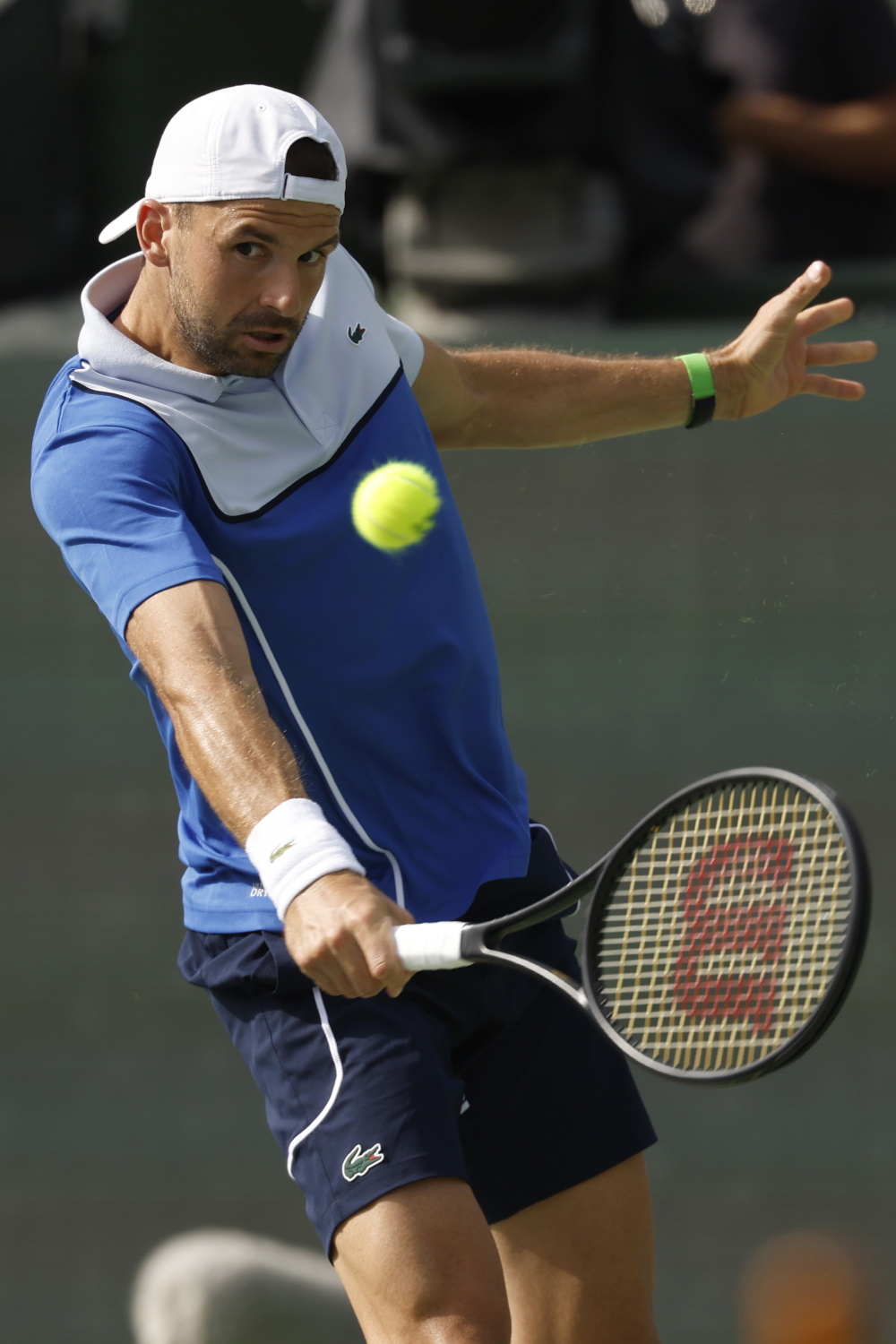 包含德国网球队鏖战美国网球队，梅德韦杰夫统治全场的词条