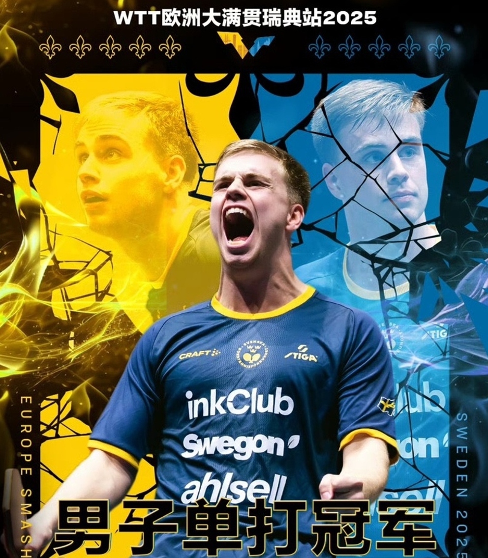 瑞典队拼搏战绩斐然的简单介绍