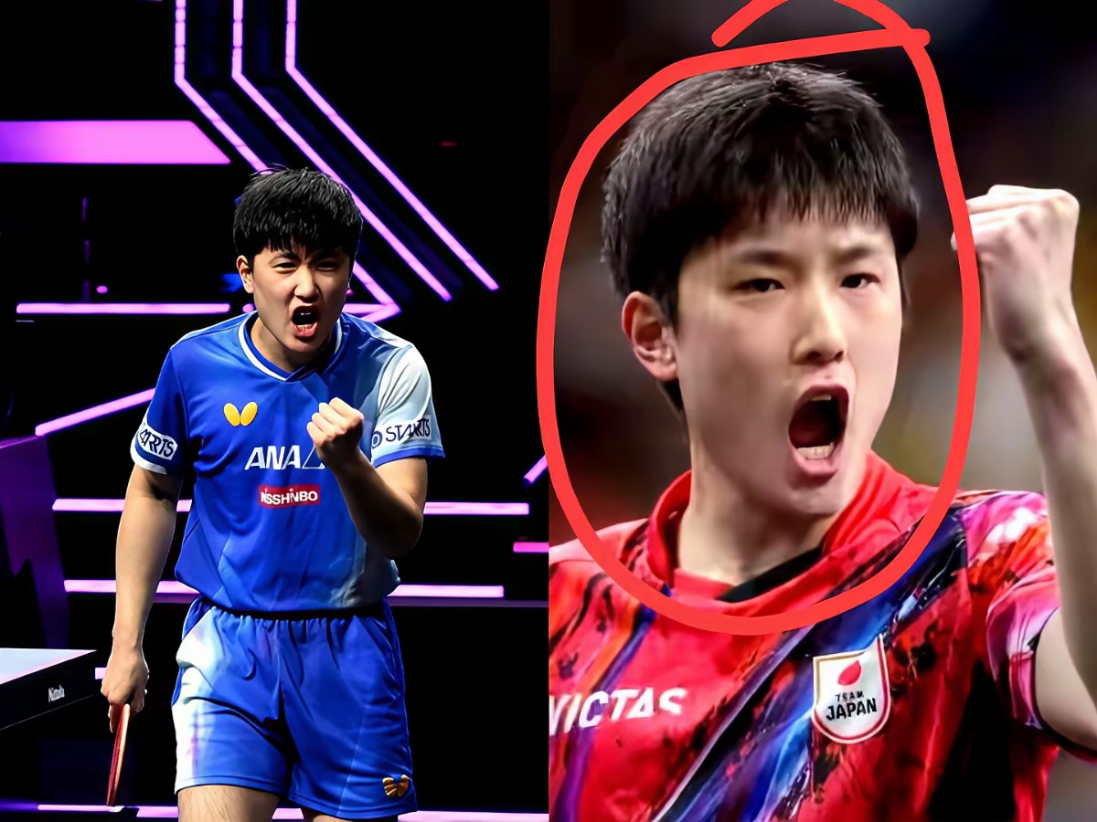 德国队轻取日本队,张本智和高光表现的简单介绍 德国队轻取日本队,张本智和高光表现的简单介绍