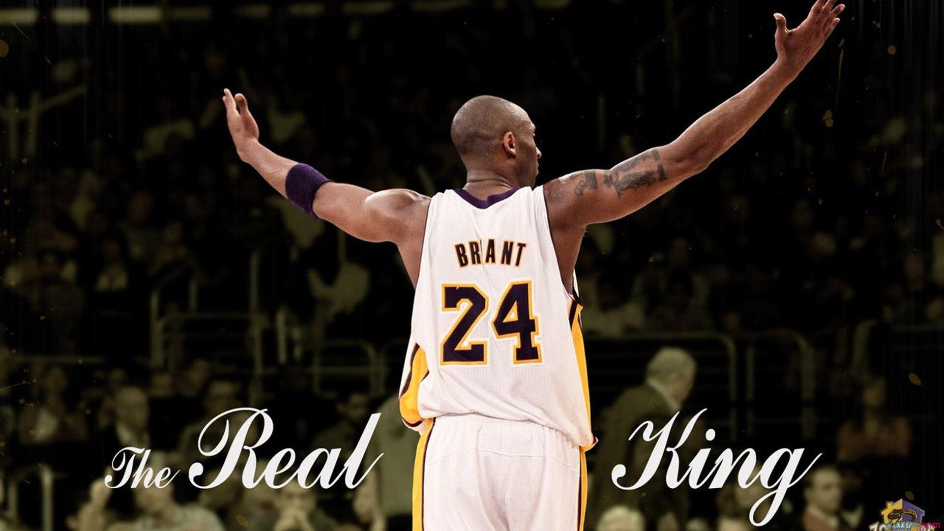 独行侠对阵浙江队,武切维奇压力下完成爆发,诠释逆境中的巨星价值