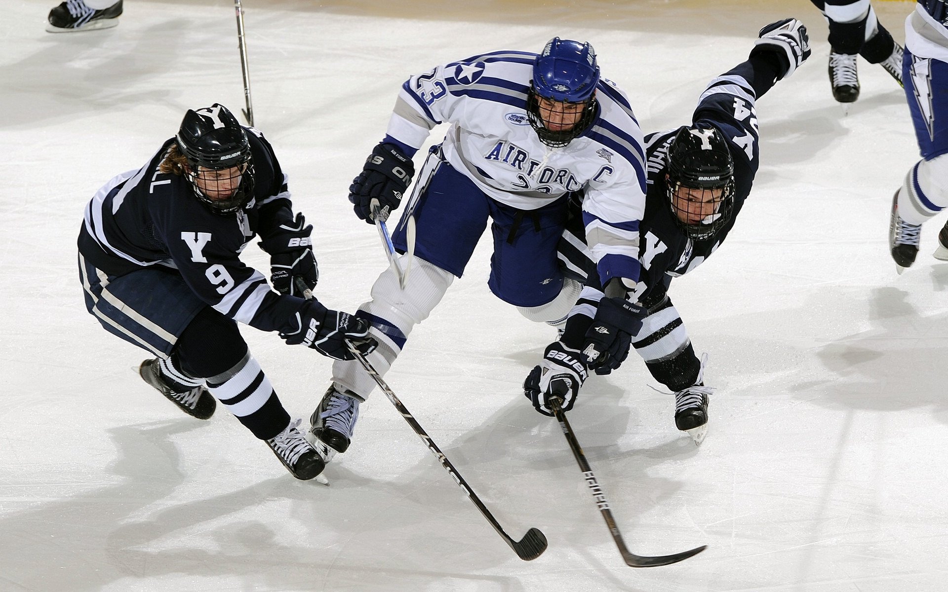 波尔领军如北欧风暴，瑞典队战术碾压波兰锁定胜局