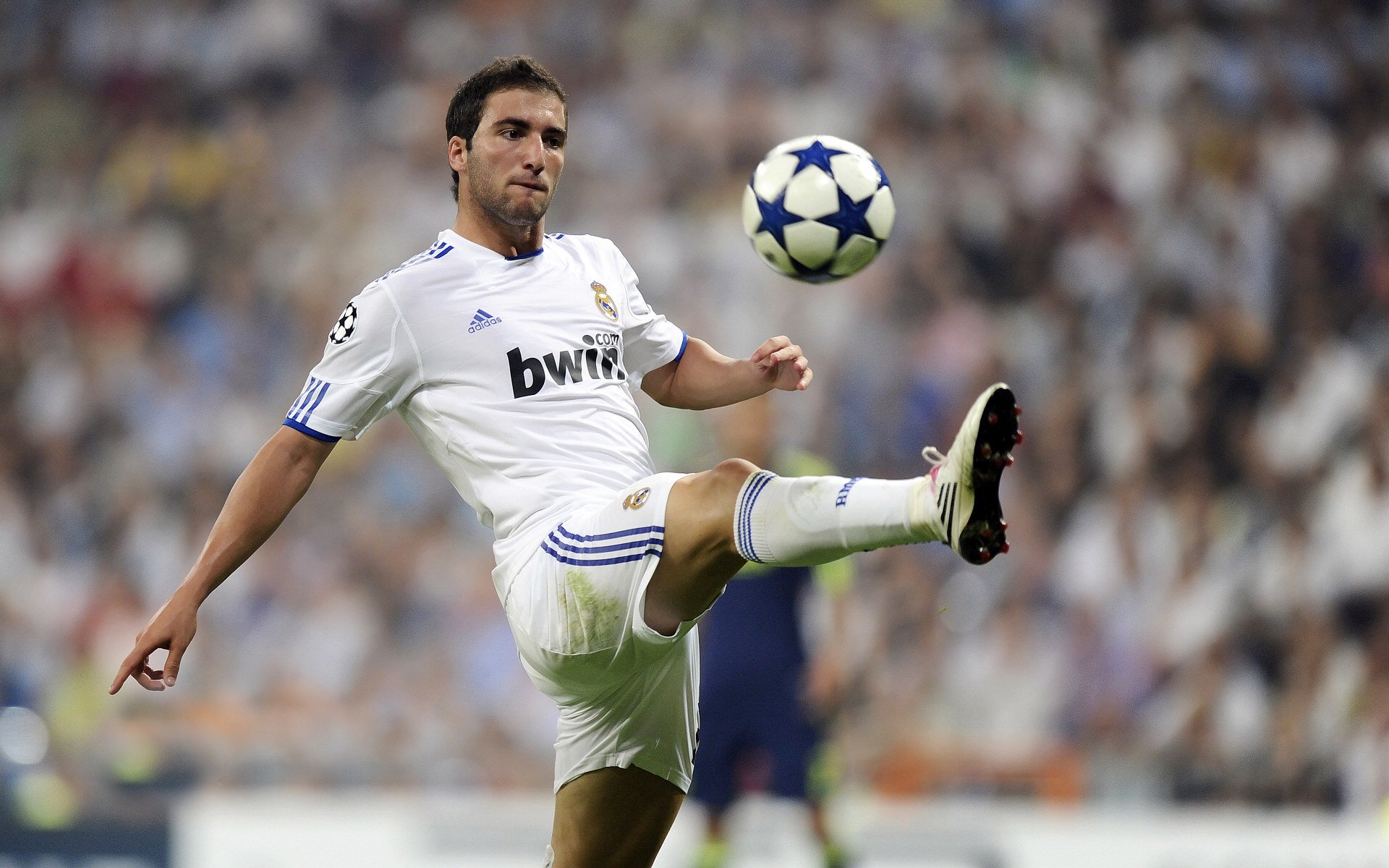 哈弗茨统治级数据闪耀，希腊粉碎加拿大展现唯一性足球哲学